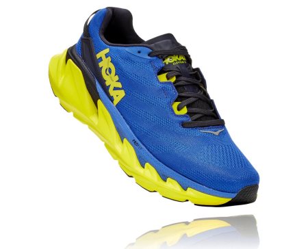 Hoka One One Elevon 2 Moški Pohodni Čevlji Modra / Roza SI-095162A